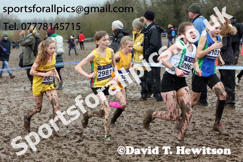 Girls under-13s 2018 British Inter Counties Cross Country Champs., Prestwold Hall, Loughborough. Photo: David T. Hewitson/Sports for All Pics